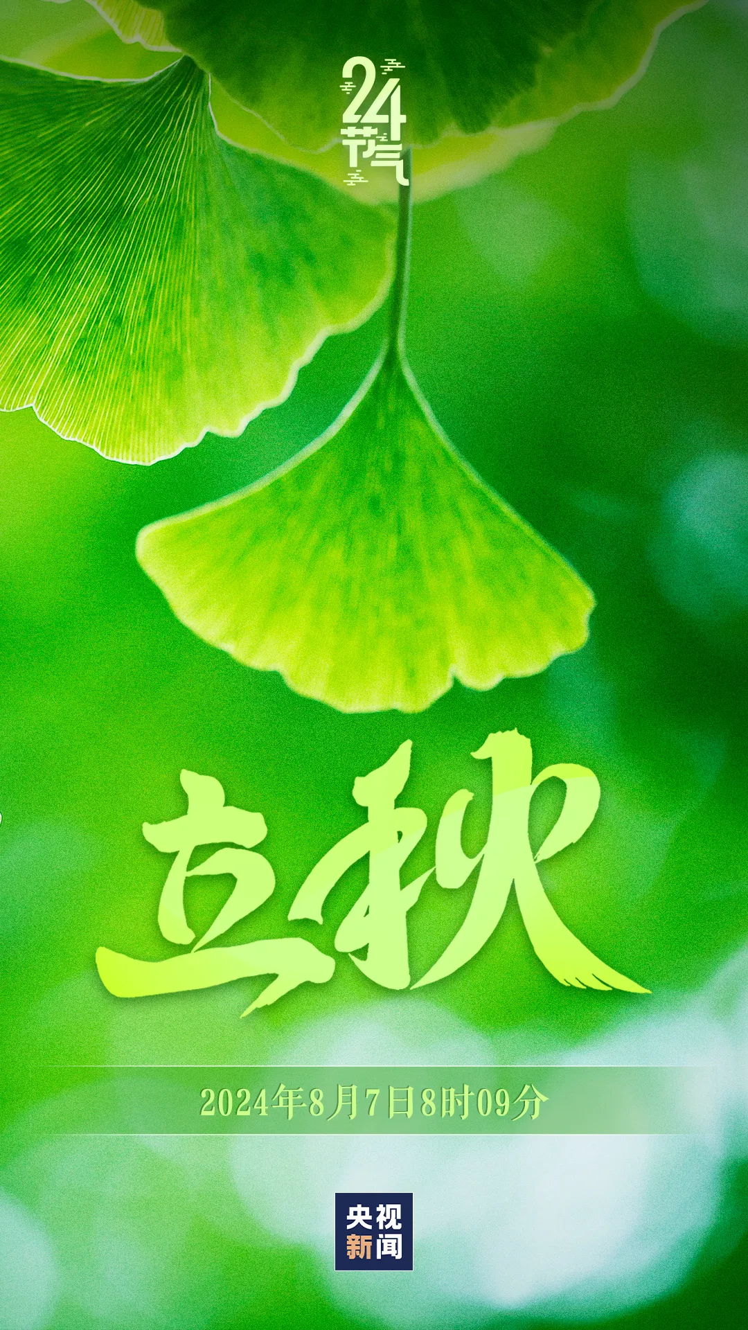 今日，立秋