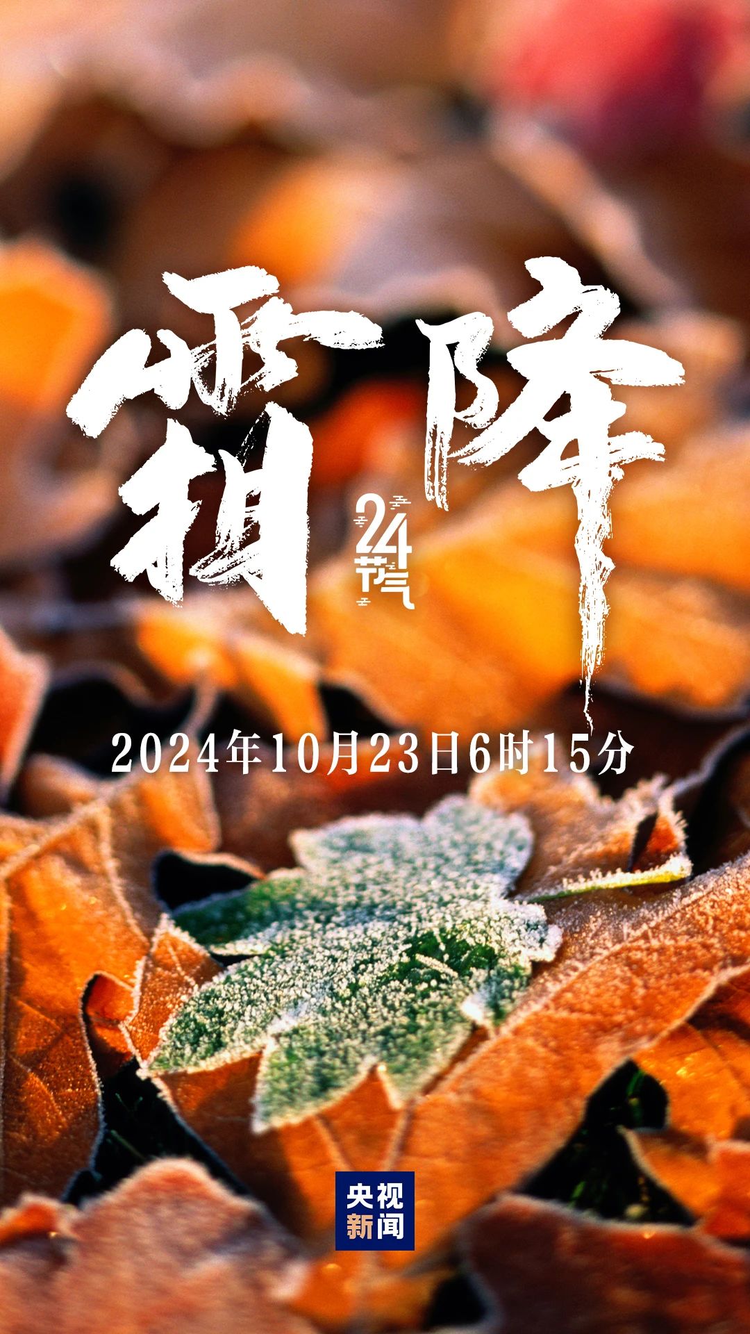 秋季最后一個(gè)節(jié)氣，來了